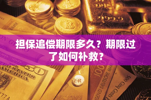 济南担保追偿期限多久？期限过了如何补救？